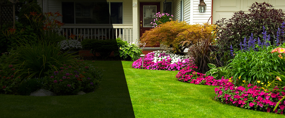 Erwin Landscapers