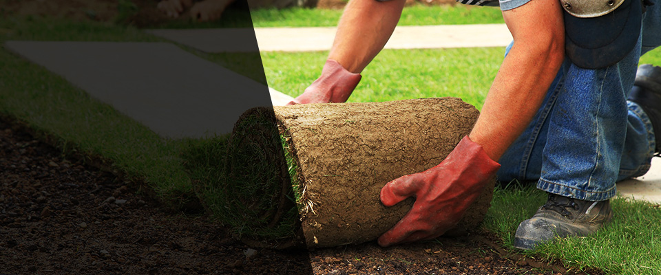 Erwin Landscapers